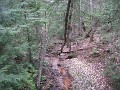 Mackinaw Island Area May 2008 1045